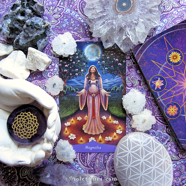 The Magic of Flowers Oracle Card Deck Review